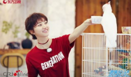 娱乐圈吃瓜王源,娱乐圈吃瓜王，揭秘明星幕后故事